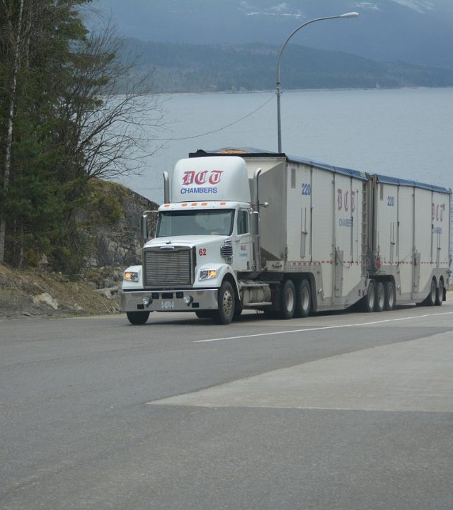 truck, lorry, white truck, cargo truck, big rig, transportation, vehicle, nature, highway, lake, driving, truck drivers, truckers, lorry driver, gray truck